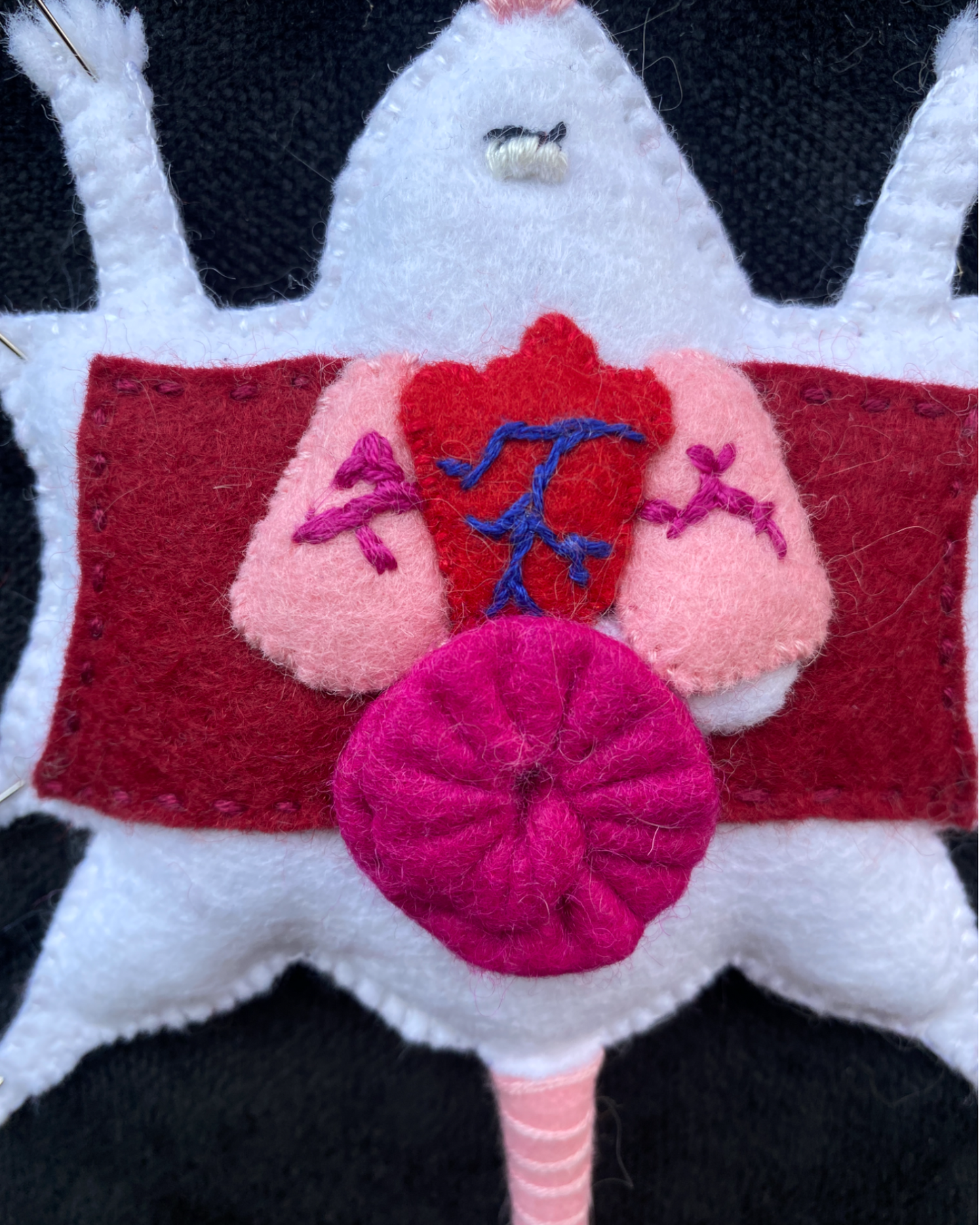 Felt Taxidermy Anatomy Mouse