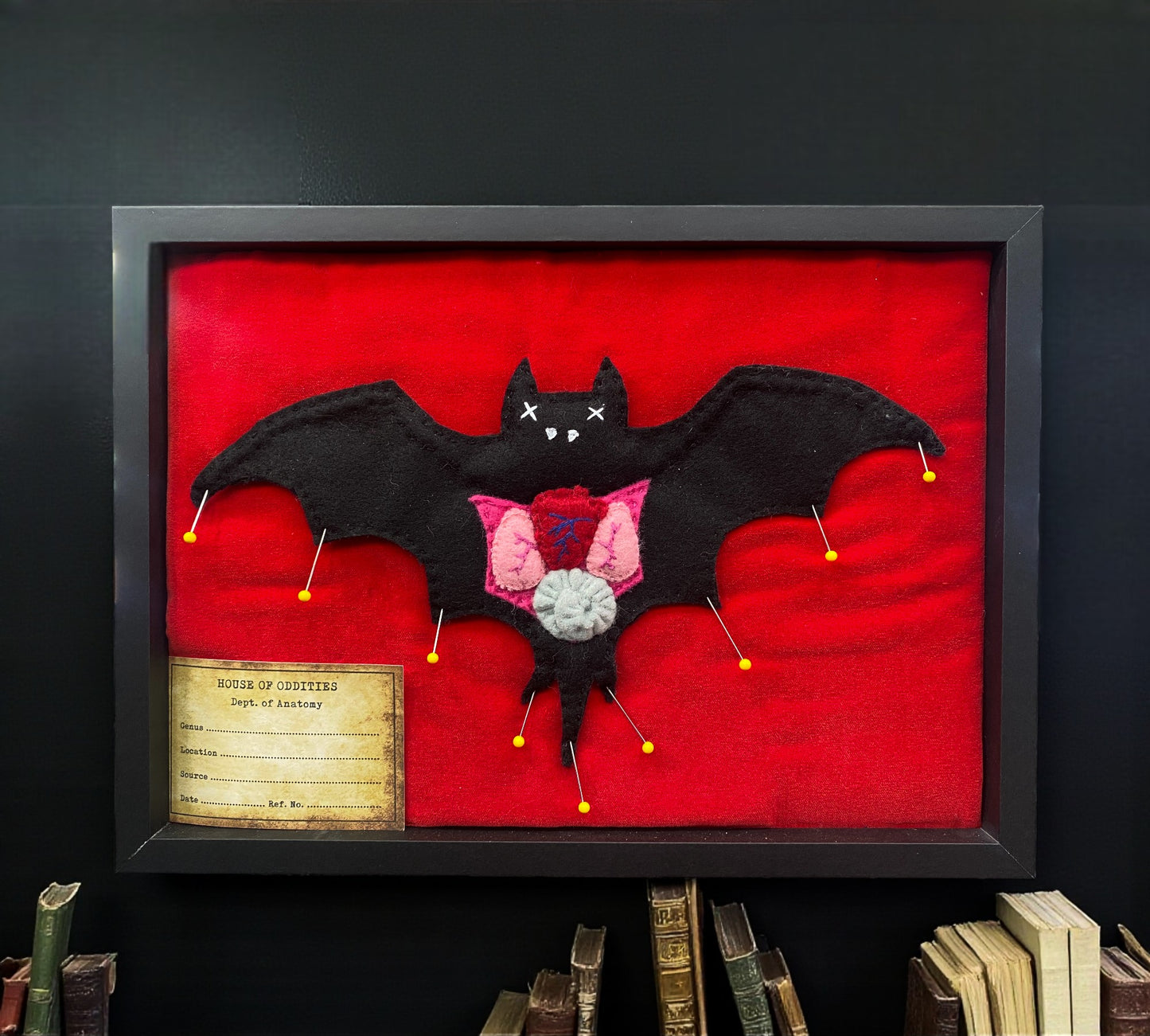 Felt Taxidermy Anatomy Bat