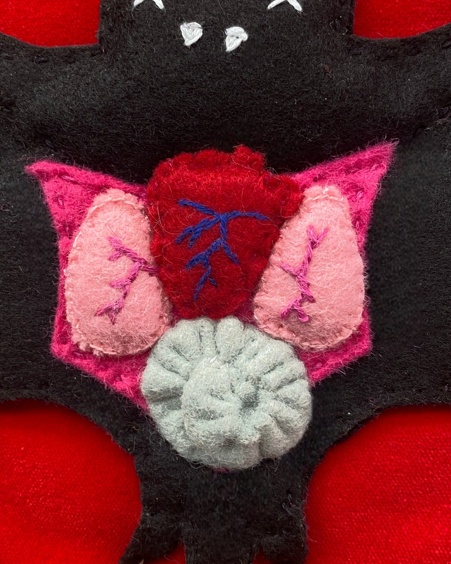 Felt Taxidermy Anatomy Bat