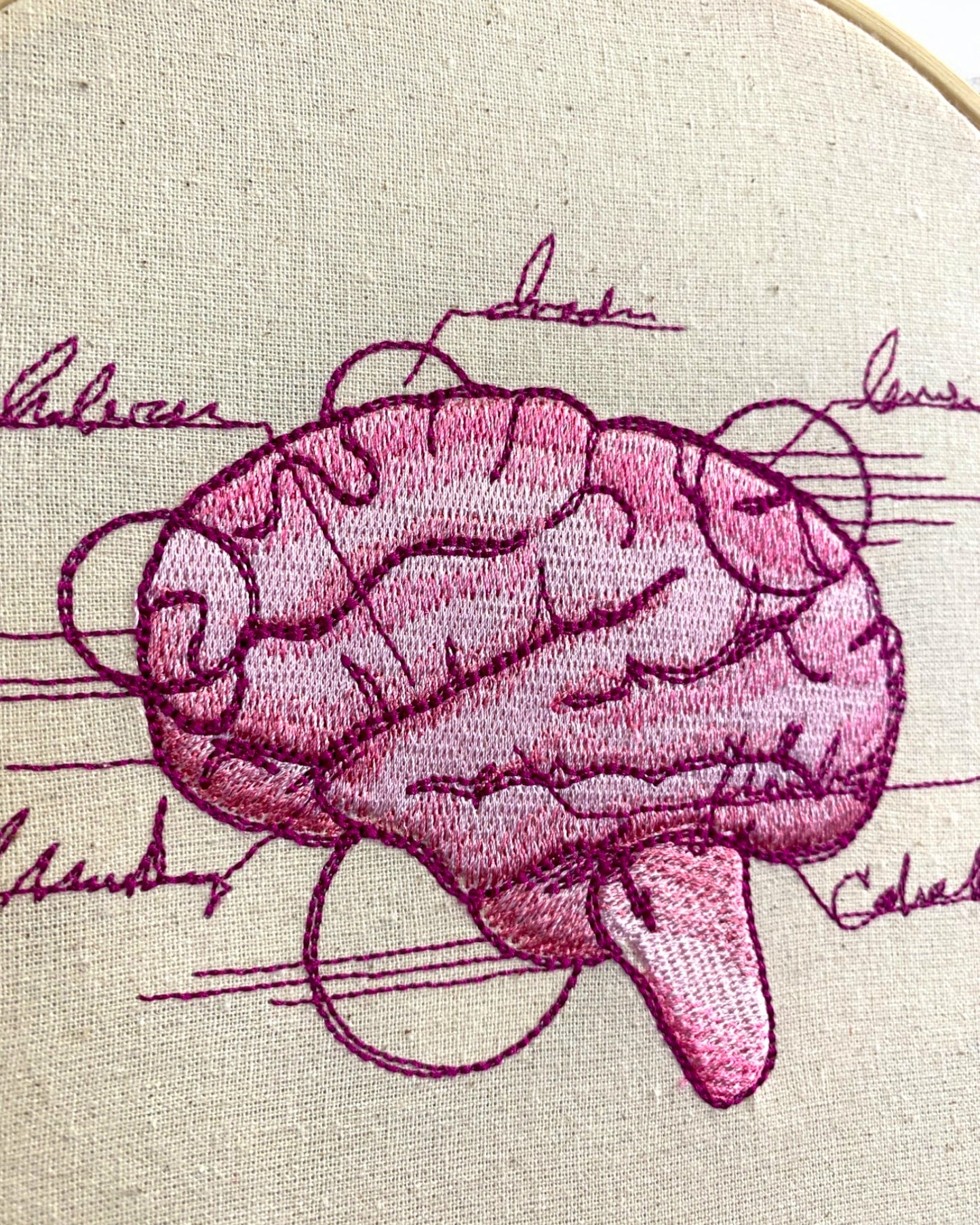 Brain Anatomy Embroidered Wall Art
