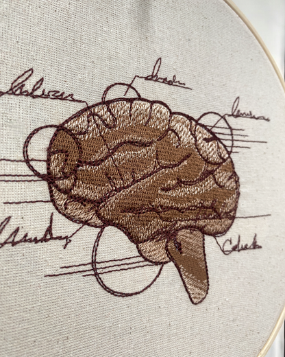 Brain Anatomy Embroidered Wall Art