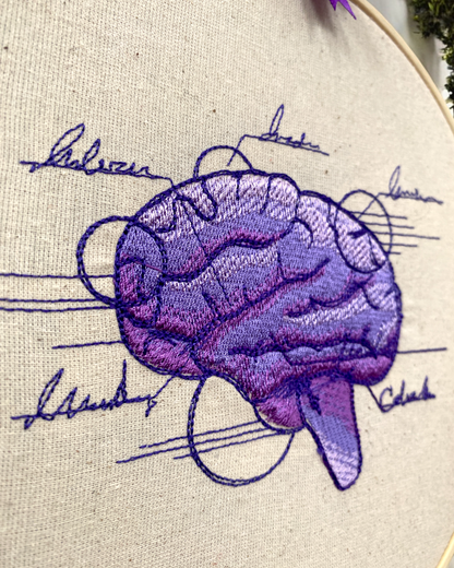 Brain Anatomy Embroidered Wall Art