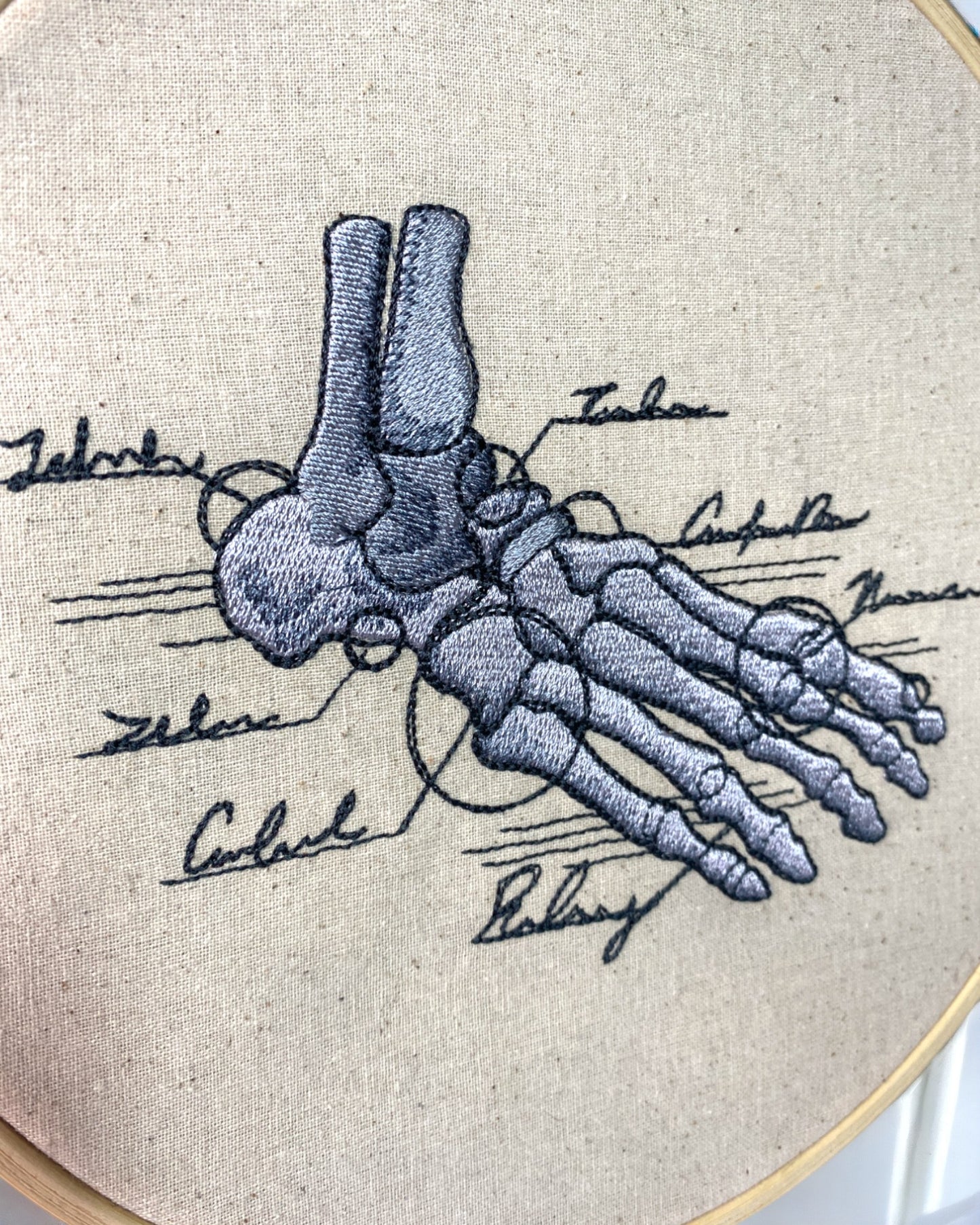 Foot Skeleton Anatomy Embroidered Wall Art