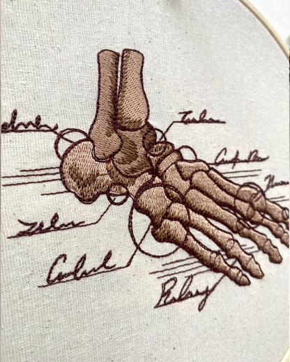 Foot Skeleton Anatomy Embroidered Wall Art